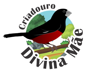 Logotipo